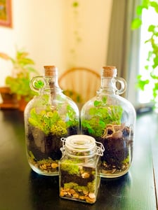 Private Terrarium Making Trailer Workshop, Nationwide