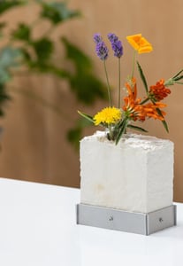 Fungi Biofabrication: Crafting (Instructor Travels)