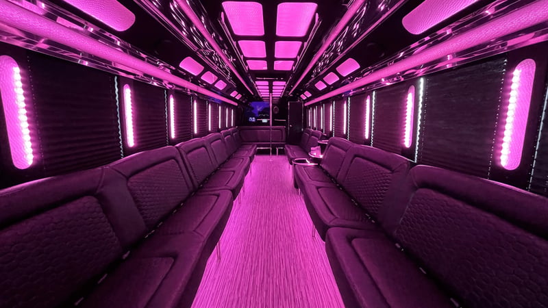 Extra-Large Party Bus with Restroom Rental for Up to 45 Guests - Gallery image