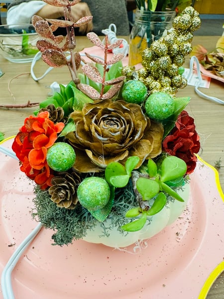 Pumpkin Succulent Planter Experience - Gallery image