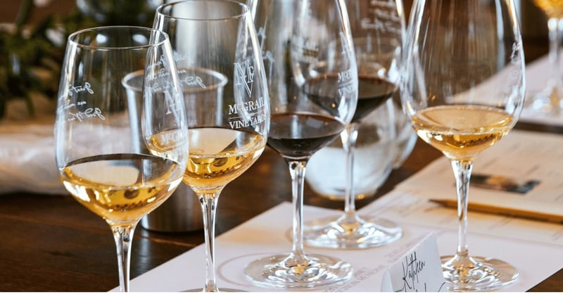 Reserve Red Wine Tasting on a Hilltop Patio With Vineyard Views - Featured image