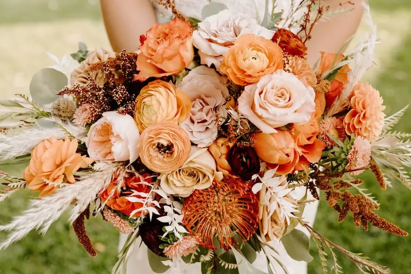 Starting Package - Gallery image