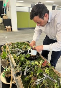 Succulent Arrangement Workshop for (Instructor Travels)