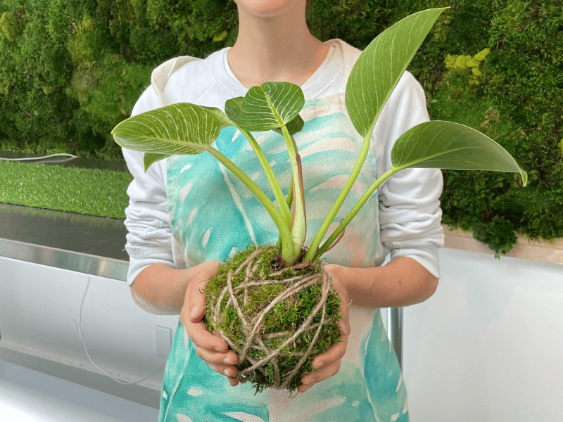 Kokedama creating: TeamBuilding Workshop - Gallery image