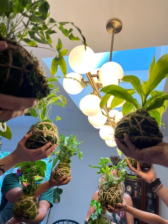 In-Studio Kokedama: TeamBuilding Workshop - Team Building in San Mateo - Featured image