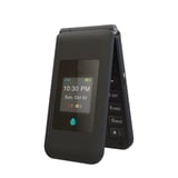 Fig Mini · https://125875375.cdn6.editmysite.com/uploads/1/2/5/8/125875375/G5R5XVOO7S7MUBWEXZW3LVHT.jpeg