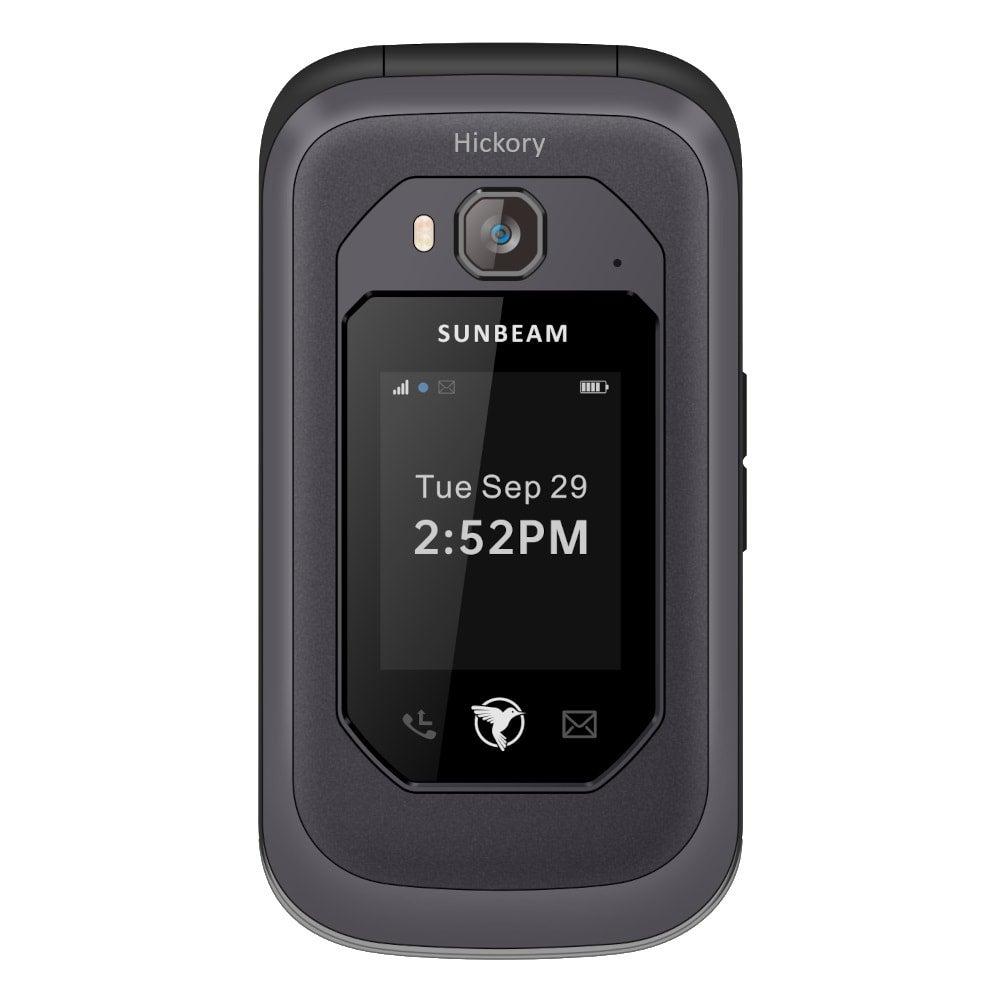 Sunbeam F1 Pro
