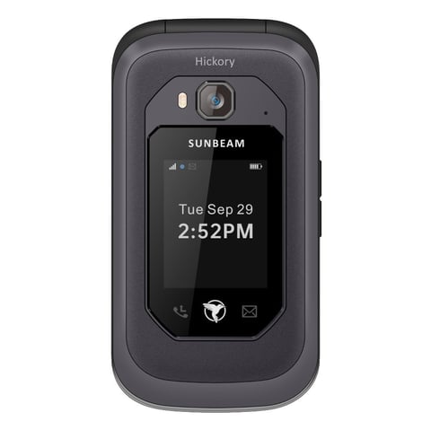 Sunbeam F1 Pro
