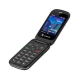 Sunbeam F1 Pro · https://125875375.cdn6.editmysite.com/uploads/1/2/5/8/125875375/7BPC6KVSYPKMLBDR4PLGT5LJ.jpeg