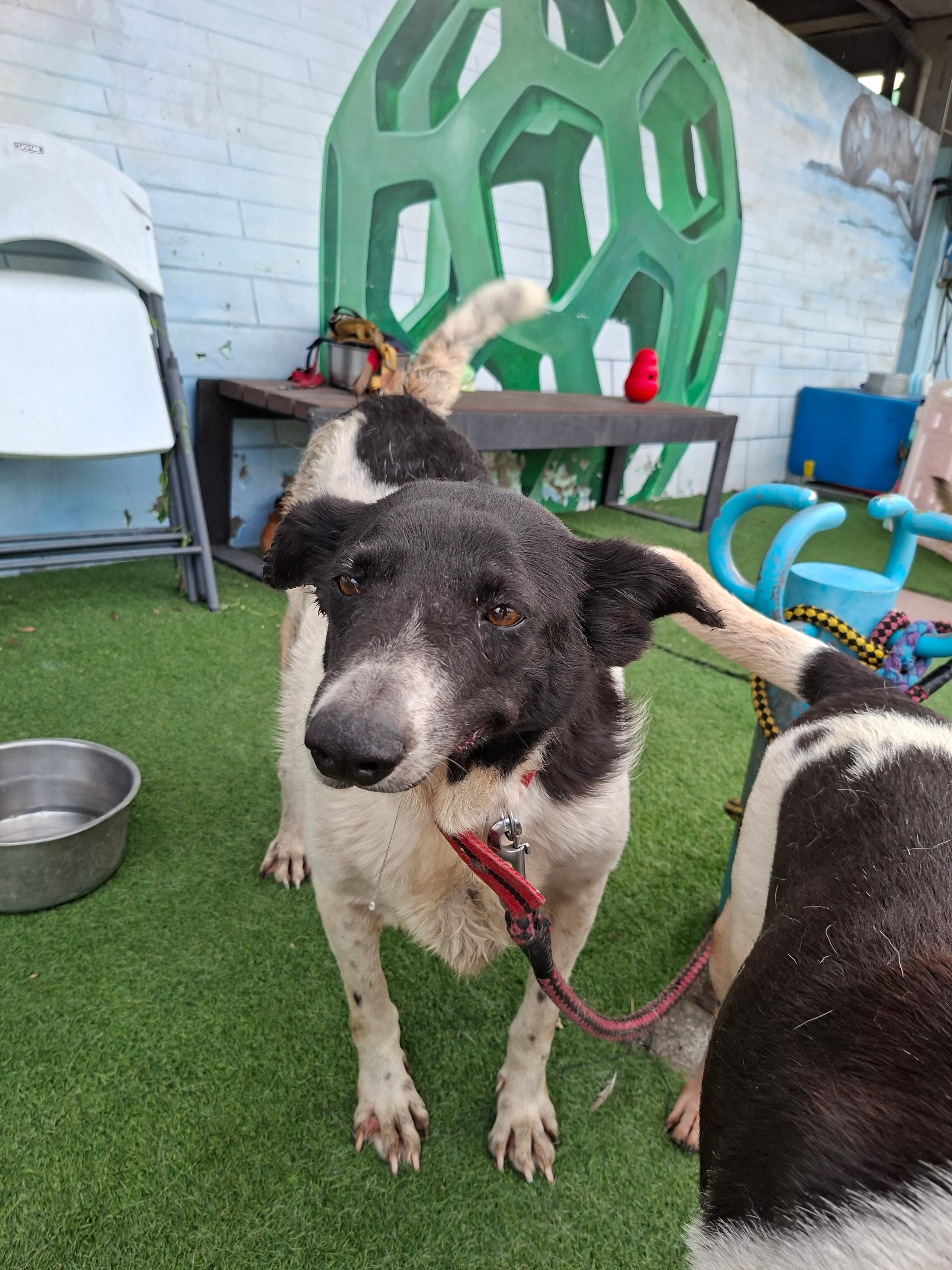 平常只能流著口水看大家吃零食