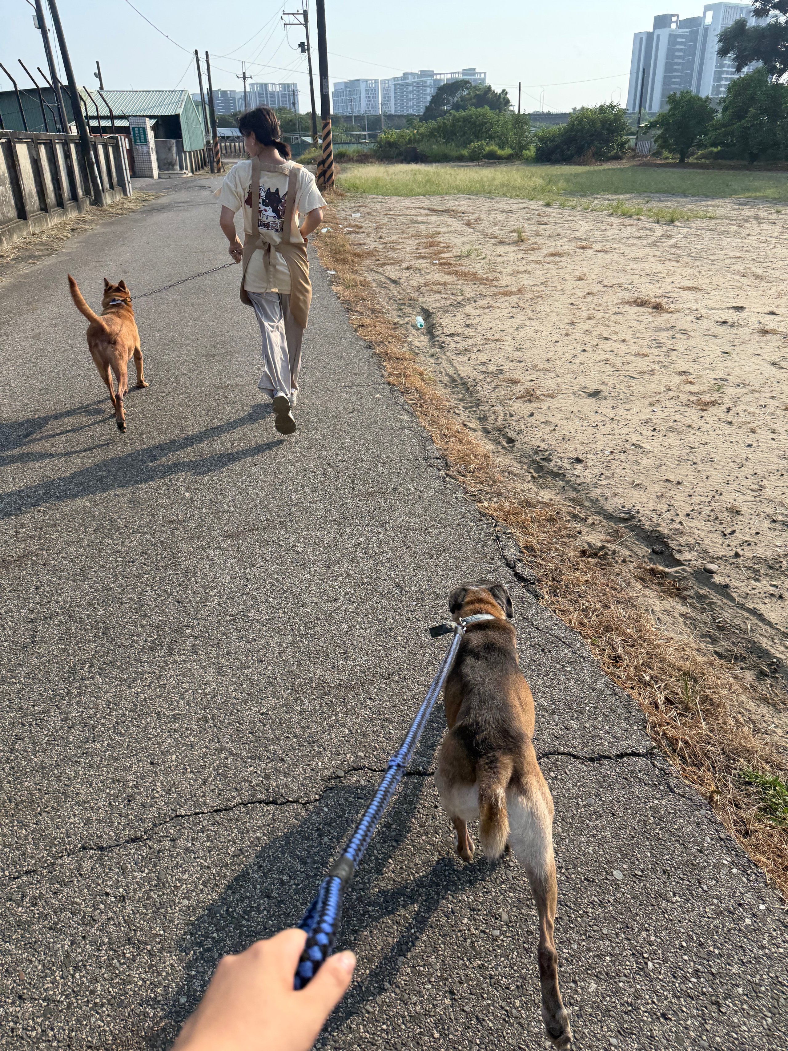 練習跑馬拉松🏃