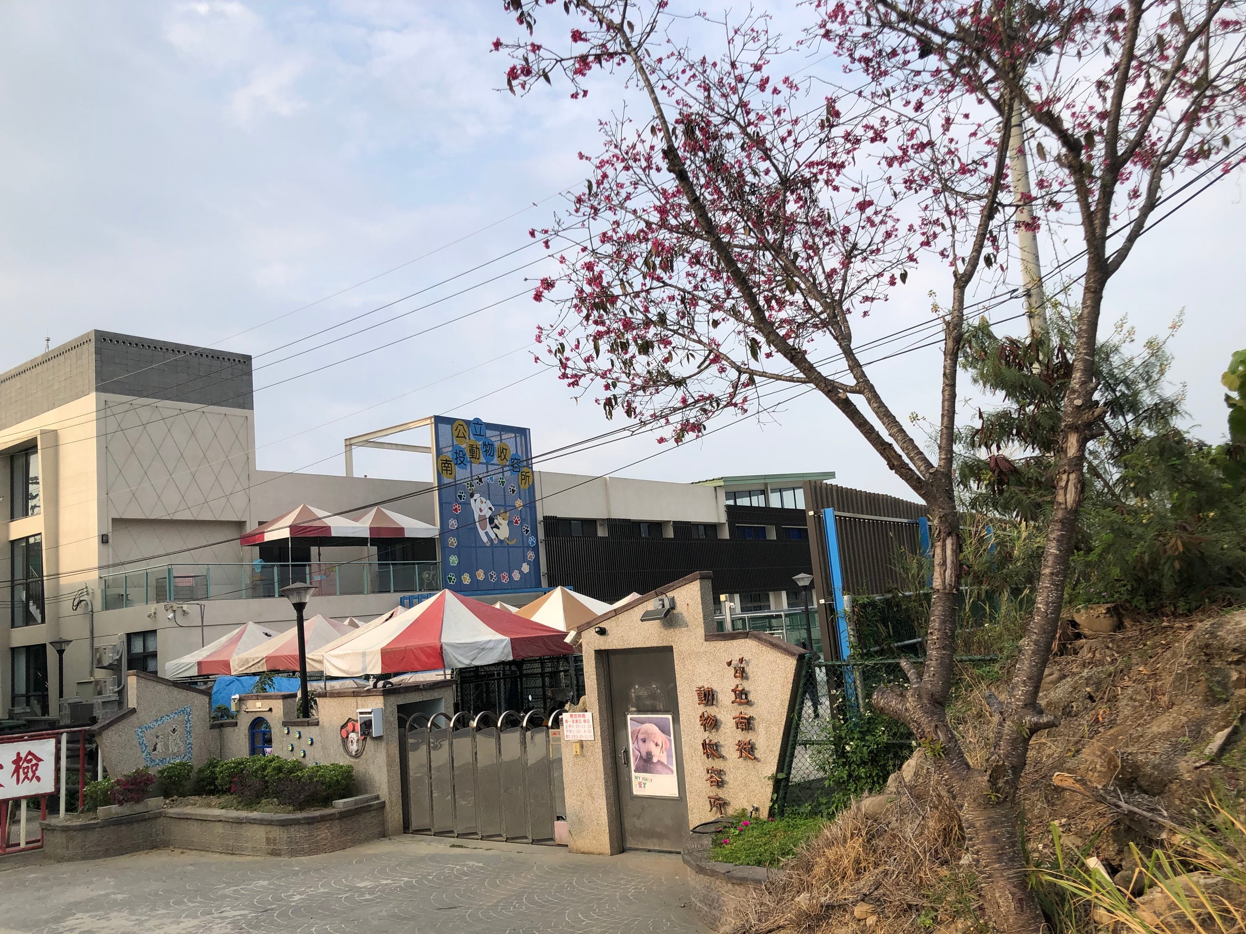 南投縣公立動物收容所環境照