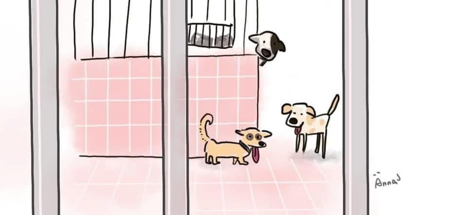 臺南市動物之家灣裡站封面
