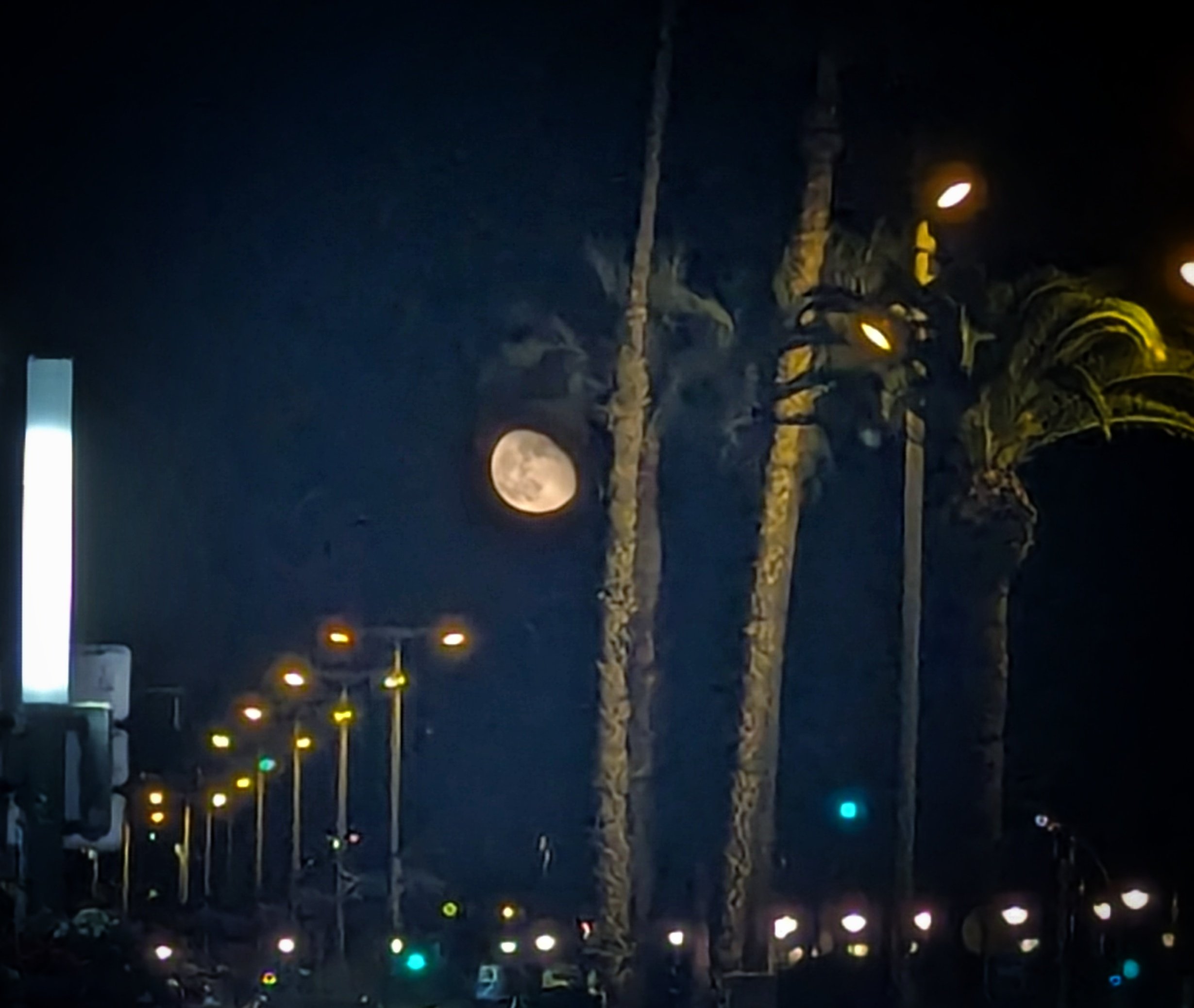 Luna del Castor — la superluna más grande y brillante del año