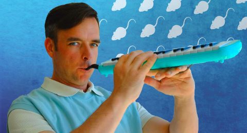 KIDS & STORIES «The pied piper of Hamelin» - Carlos Pina