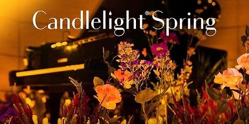 Candlelight: Tributo a Ludovico Einaudi | Alicante