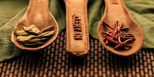 THE RITUAL SAUNA WORKSHOP ​​​​