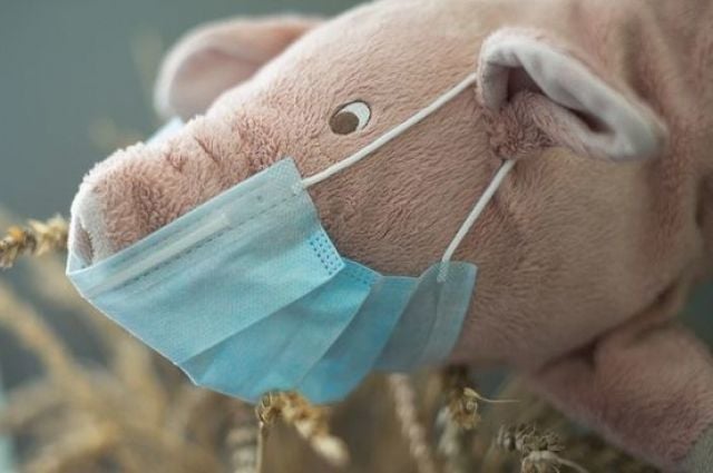 African Swine Fever in Spain: First Outbreak in 30 Years Threatens €8.8 Billion Exports — Lab Leak Investigated