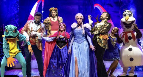 La reina del hielo - La aventura de las estaciones, tributo musical