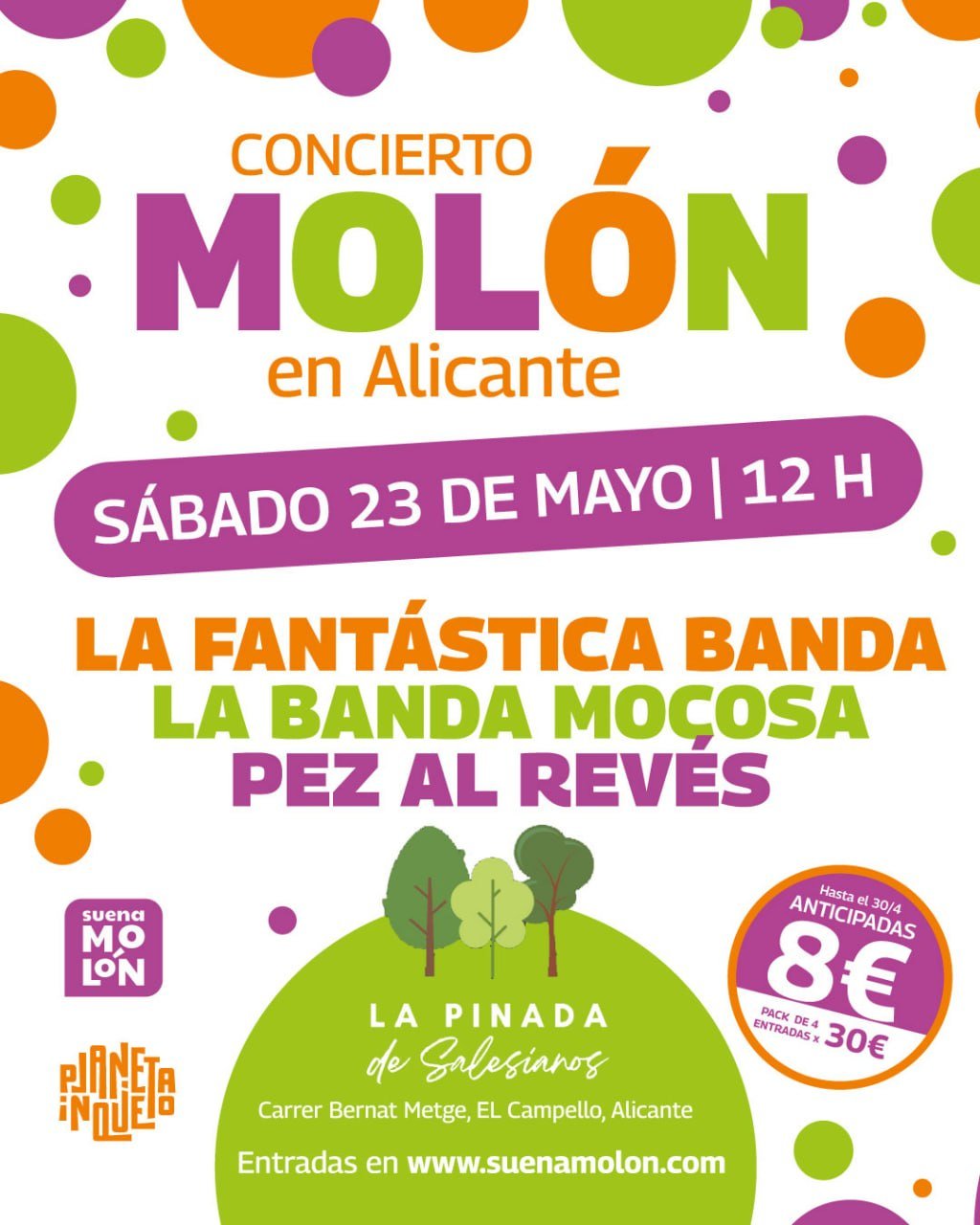 Three Family Concerts Under the Pines: LA FANTÁSTICA BANDA, LA BANDA MOCOSA & PEZ AL REVÉS