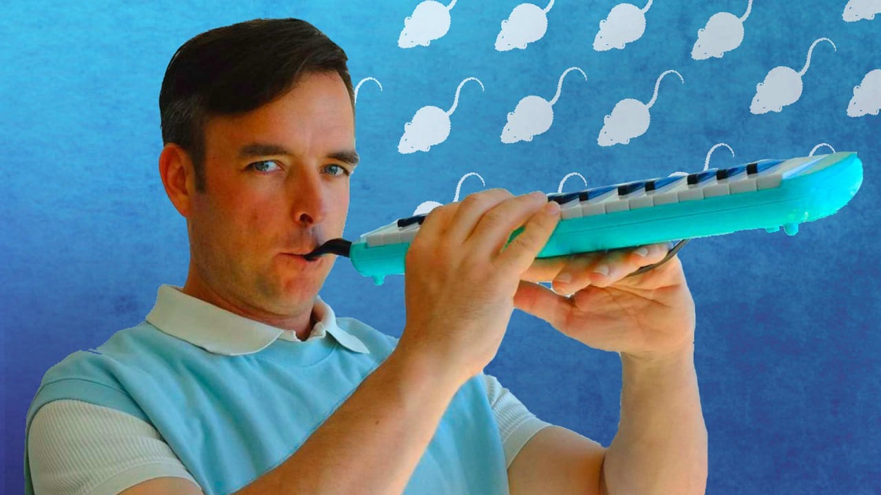 Kids & Stories: «El flautista de Hamelín» — Espectáculo teatral interactivo en inglés para niños