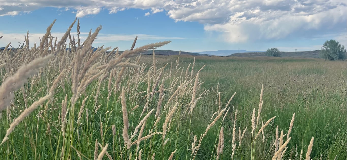 Cedar Creek ranch landscape in Moffat County, Colorado