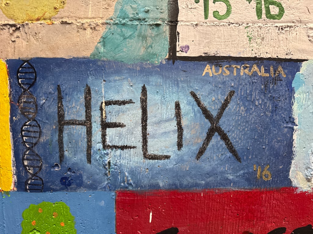 Helix's brick on the Camp Rotary walkway