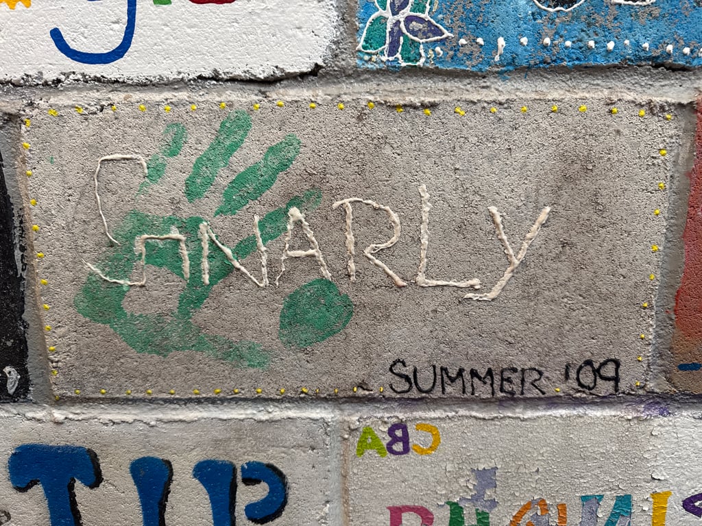 Gnarly's brick on the Camp Rotary walkway