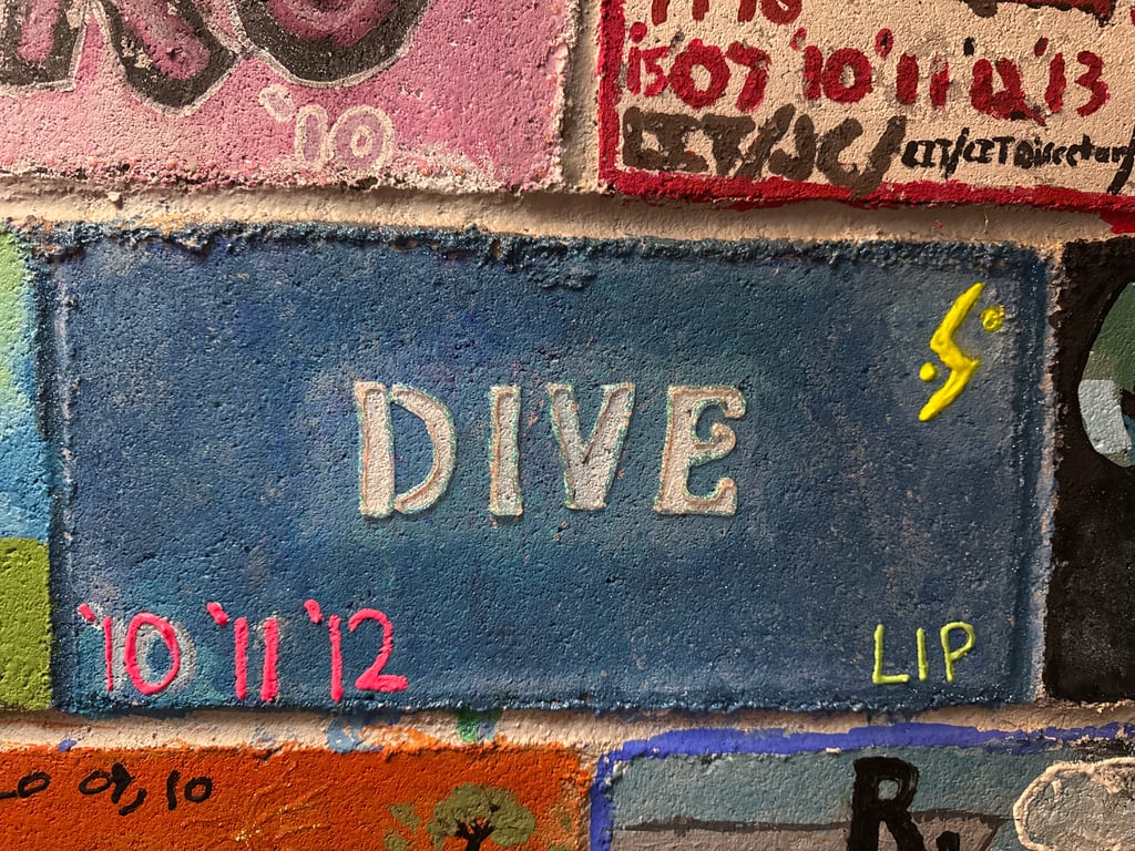 Dive's brick on the Camp Rotary walkway