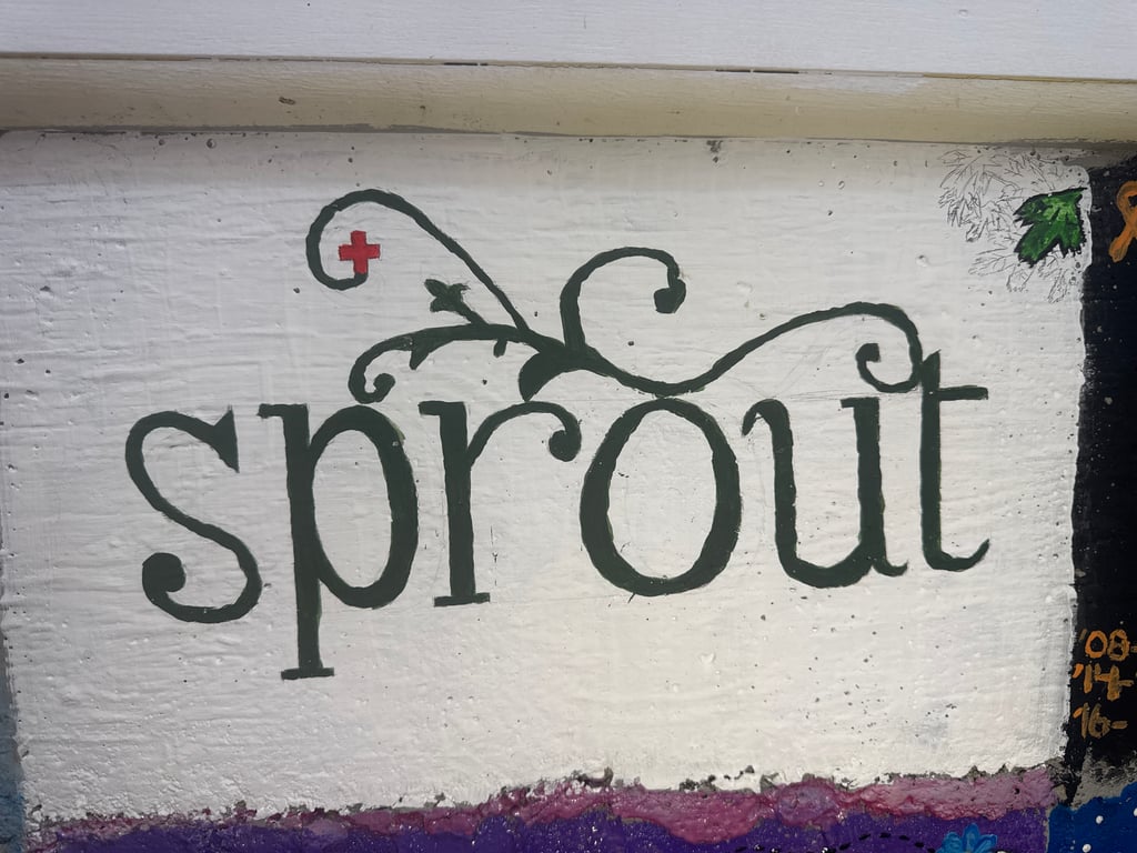 Sprout's brick on the Camp Rotary walkway