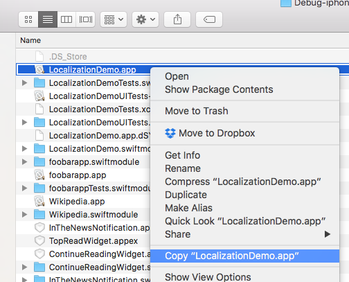 copy app file to right place