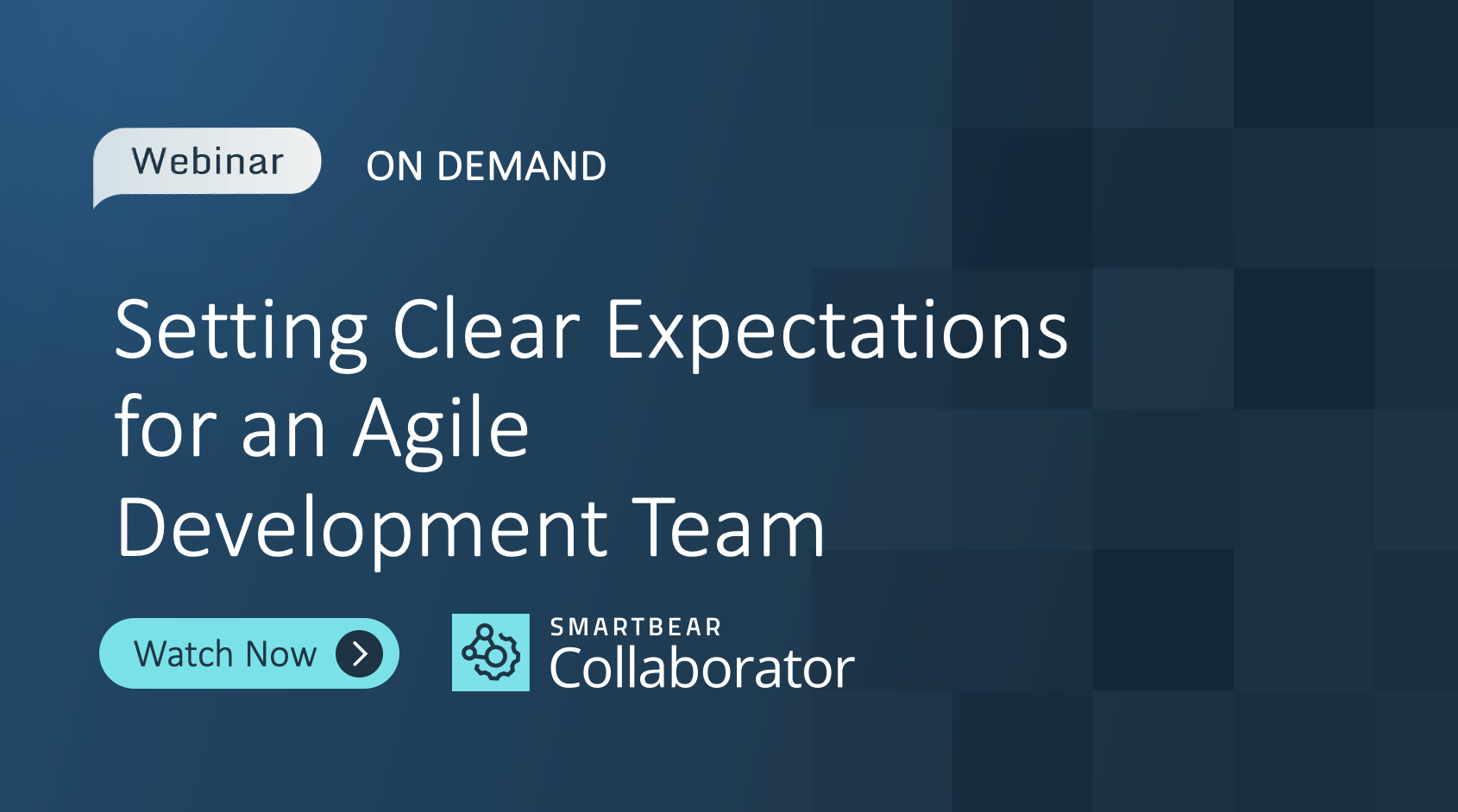 Setting Clear Expectations for an Agile Development Team