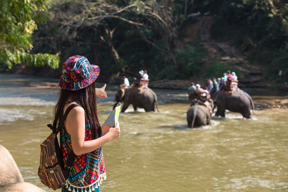 How Specialists Build Sri Lanka Itineraries That Cover the Whole Island