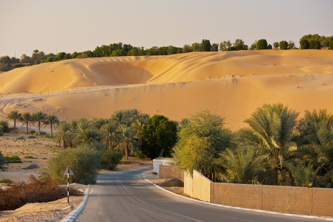 Liwa Oasis — place to visit