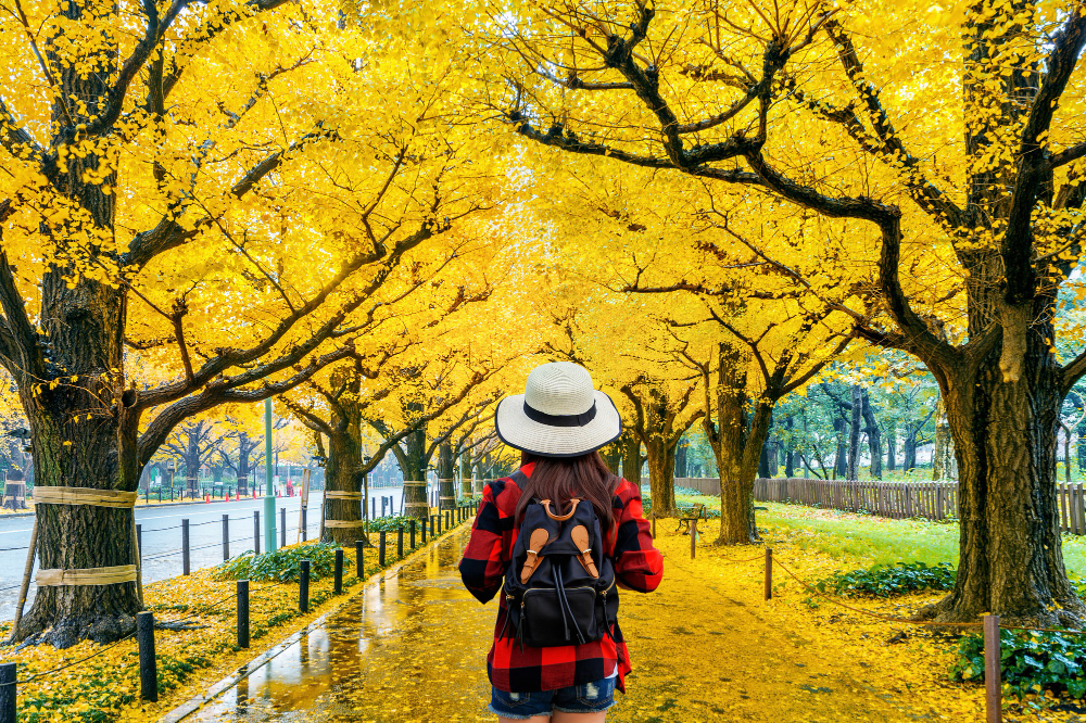 March Majesty: The Ultimate Guide to the Best Places to Visit This Spring