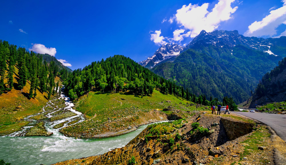 Arang Kel village with wooden houses on a green mountain meadow above the Neelum Valley, Azad Kashmir, Pakistan