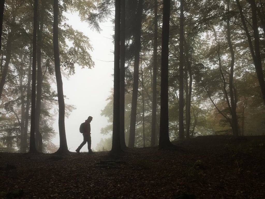Quiet Travel: The Specialist's Strategy for Finding Silence in a Noisy World