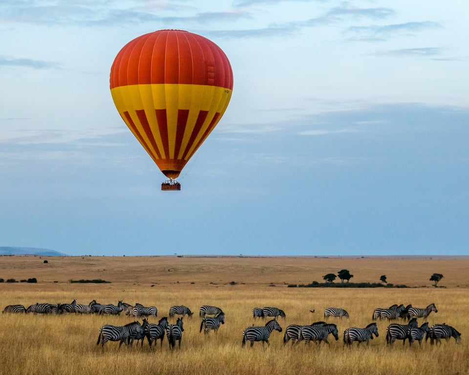 Hot air balloon over safari plains