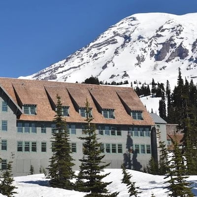 Paradise Inn 