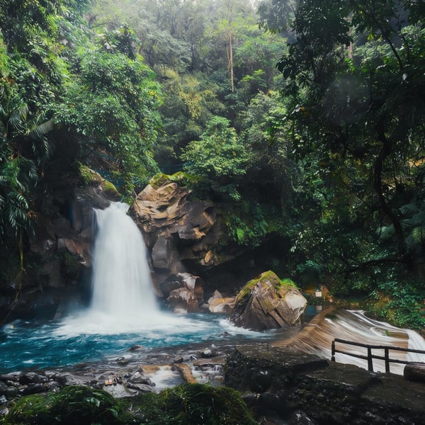 Costa Rica Rainforest Explorer - Featured Luxury travel experience