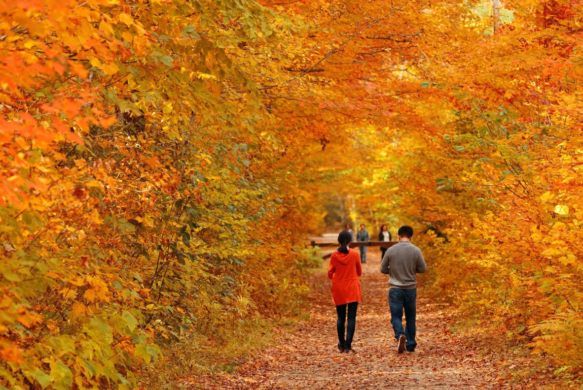 Best Places to Visit in November: The Ultimate Travel Guide