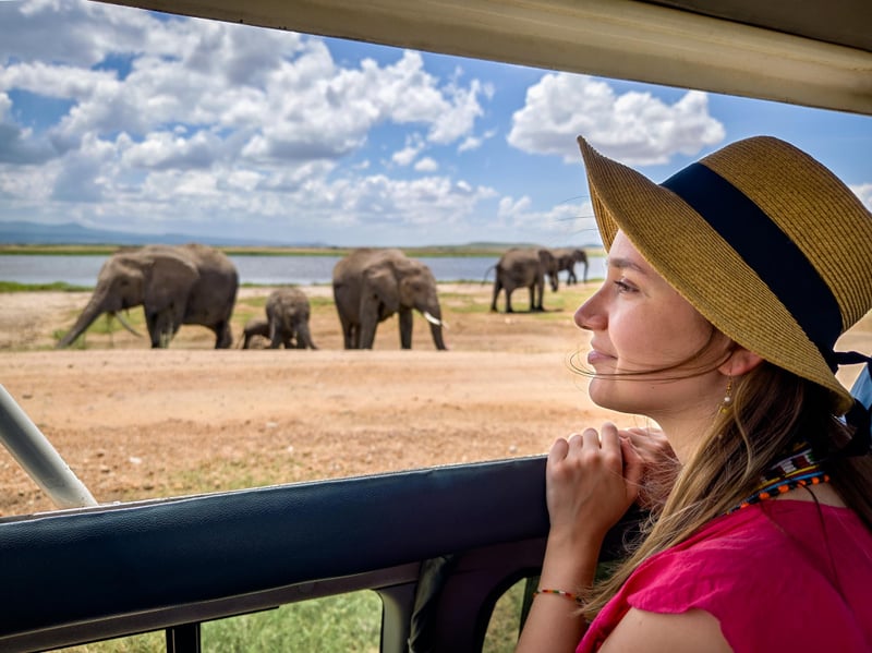 Kenya Tanzania Essential Safari - Featured Luxury travel experience