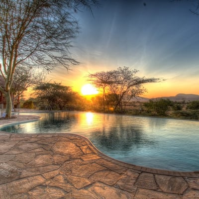 Samburu simba lodge