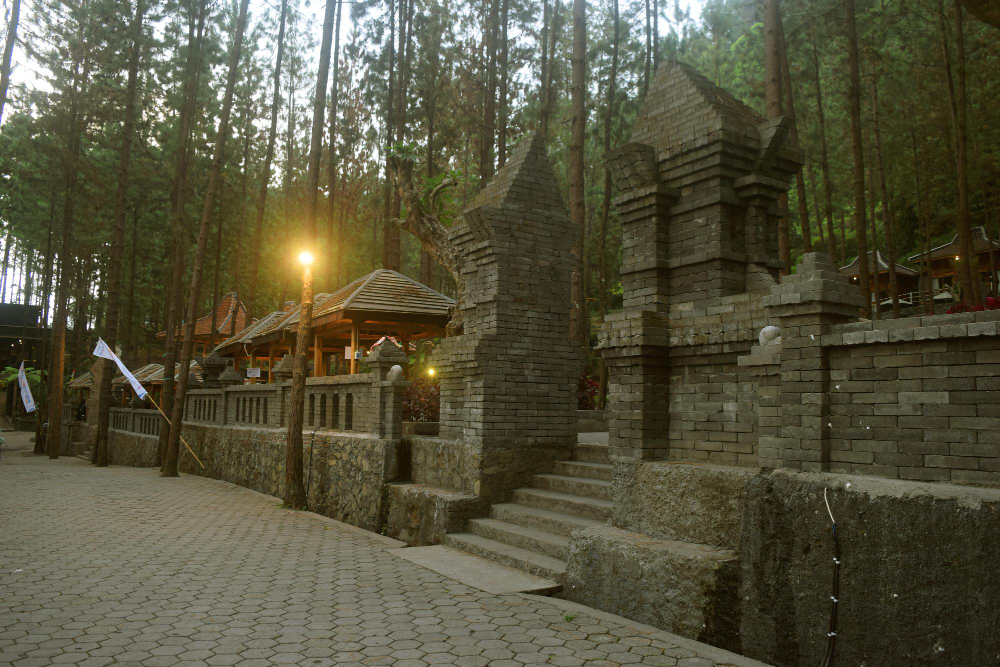 Specialist-guided sunrise tour of Borobudur Buddhist temple rising above the jungle, Central Java, Indonesia