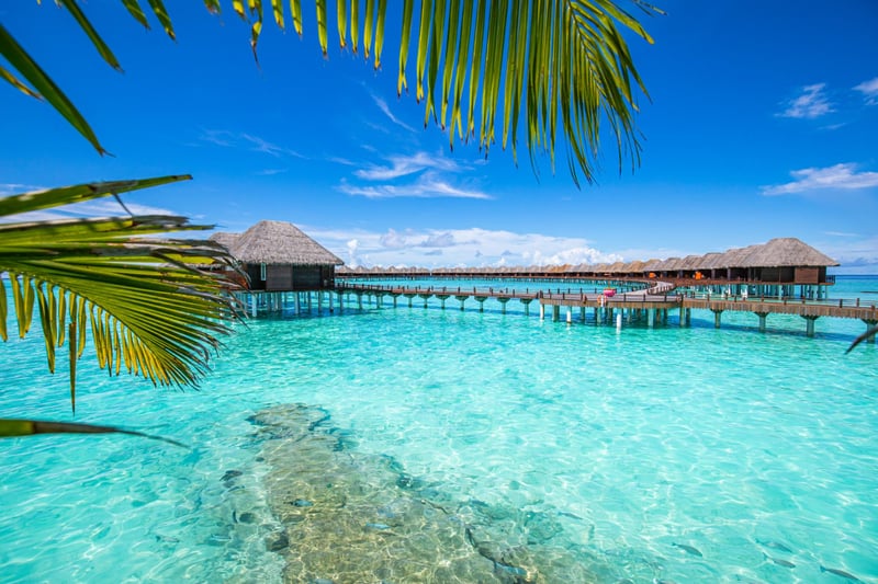 Kaafu Atoll Sunset - Featured Luxury travel experience