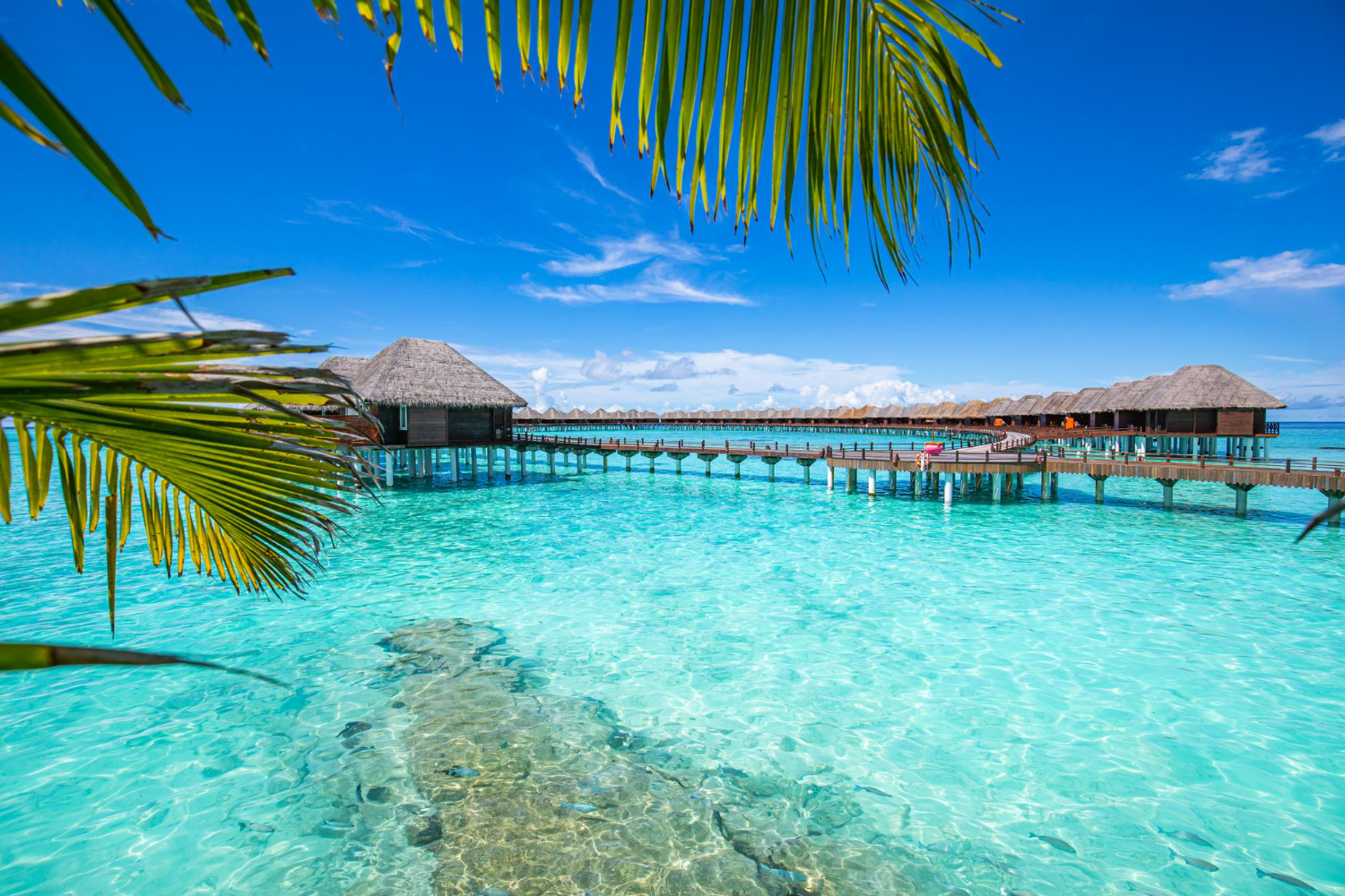 Kaafu Atoll Sunset - 5 days begovo