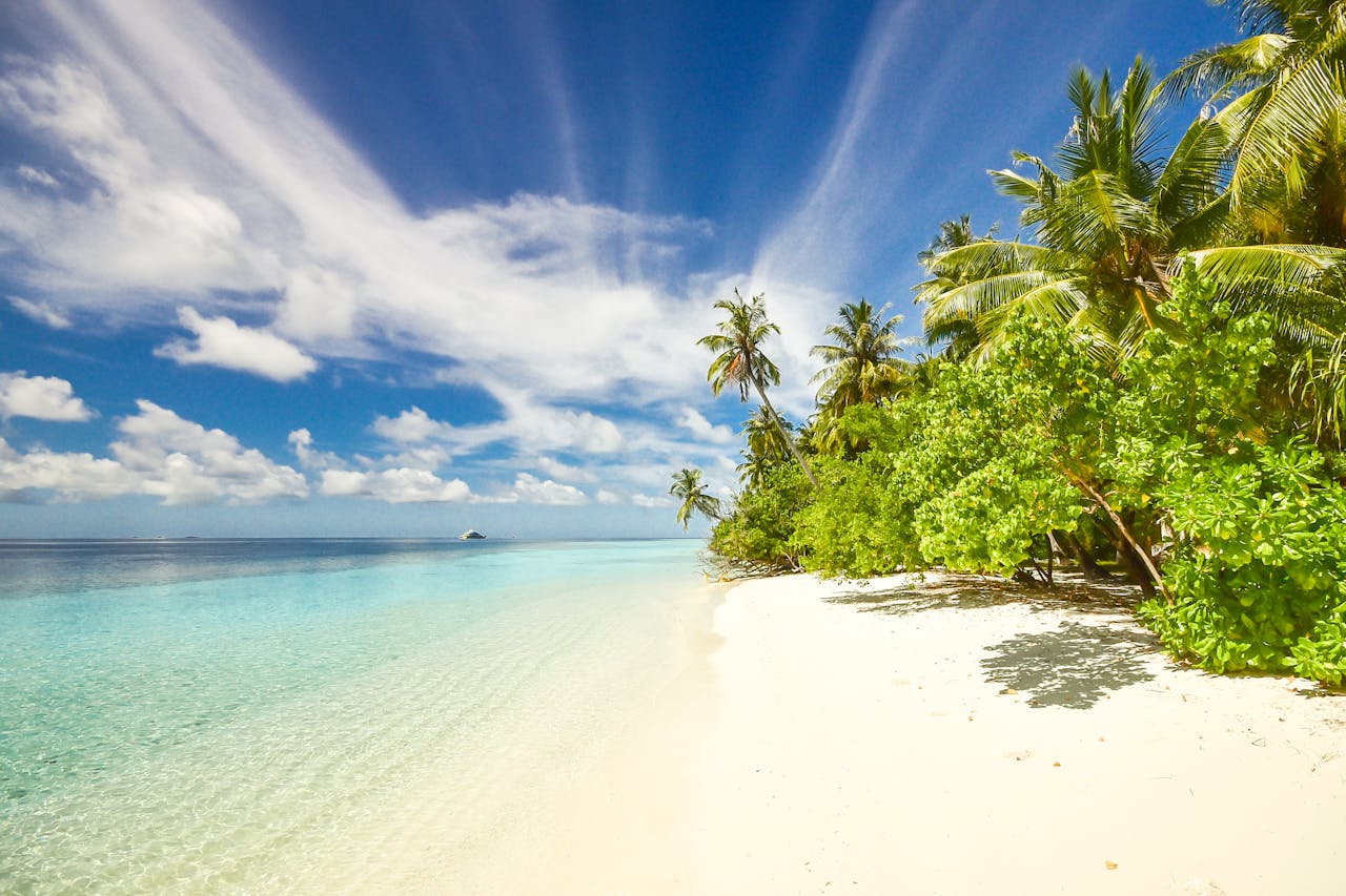 Oceanfront Escape - 6 days begovo