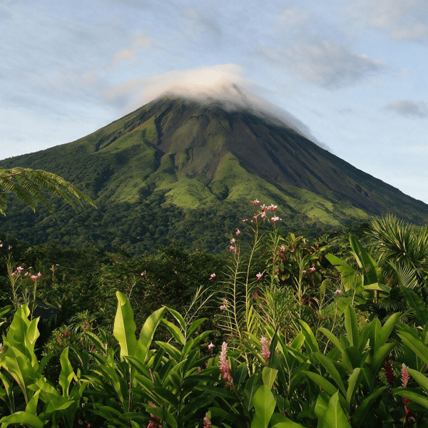 Costa Rica Volcano Coast Tour - Featured Luxury travel experience