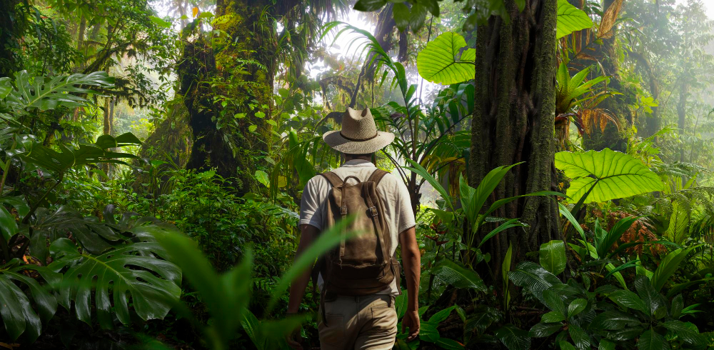 Amazon — place to visit