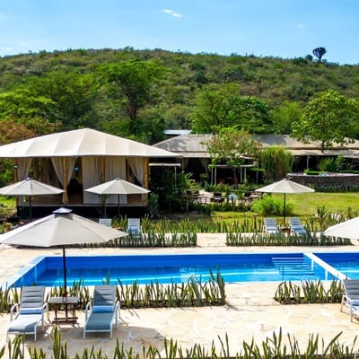Zebra Mara Plains Camp